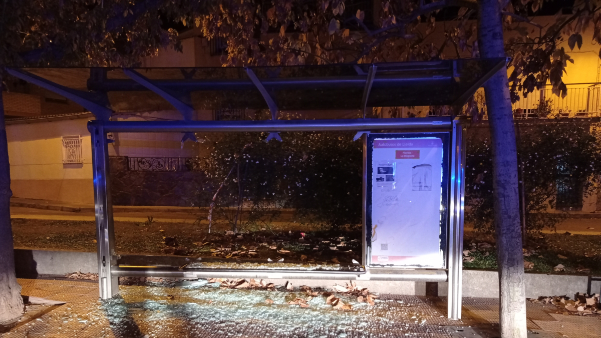 El cristal roto de la marquesina de autobús de la calle Sant Pere Nolasc de Lleida.