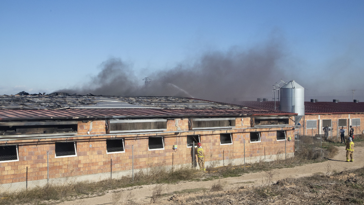 Efectivos de los Bomberos trabajando ayer en la extinción del incendio en la granja. - LAIA PEDRÓS