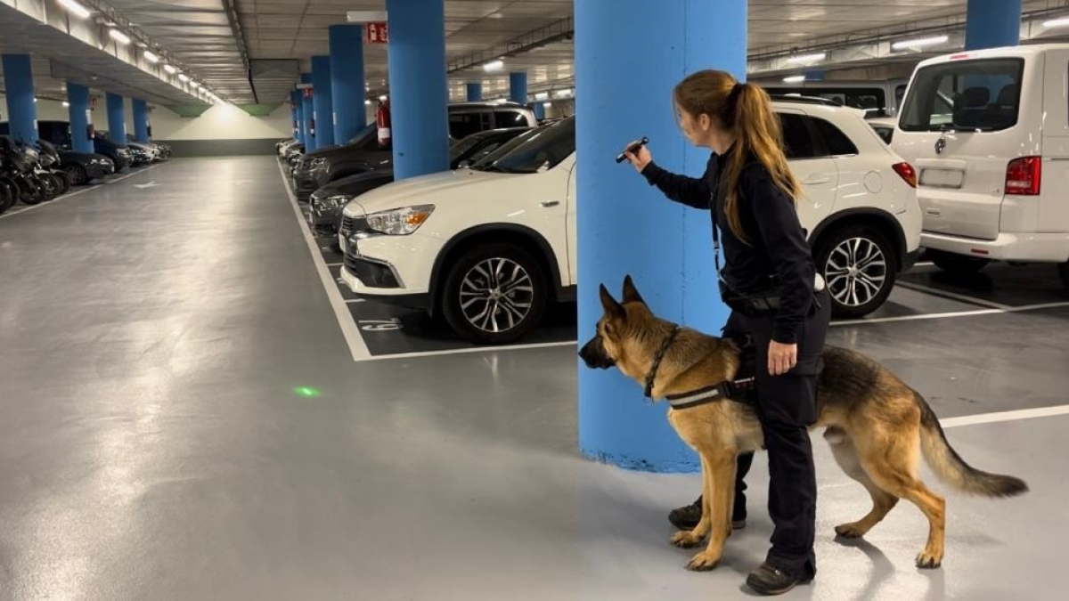 Una guía de la unidad canina de los Mossos, apuntando con un láser, y su perro. - EUROPA PRESS