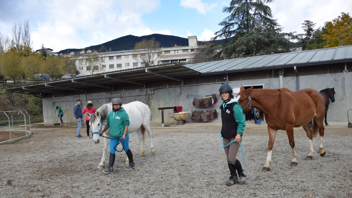 Alumnos del centro que cursan sus estudios de técnico de actividades ecuestres. - C. SANS