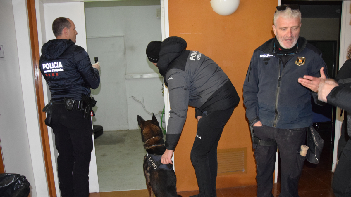 La búsqueda de explosivos y estupefacientes fue uno de los objetivos ayer del simulacro. - C. SANS