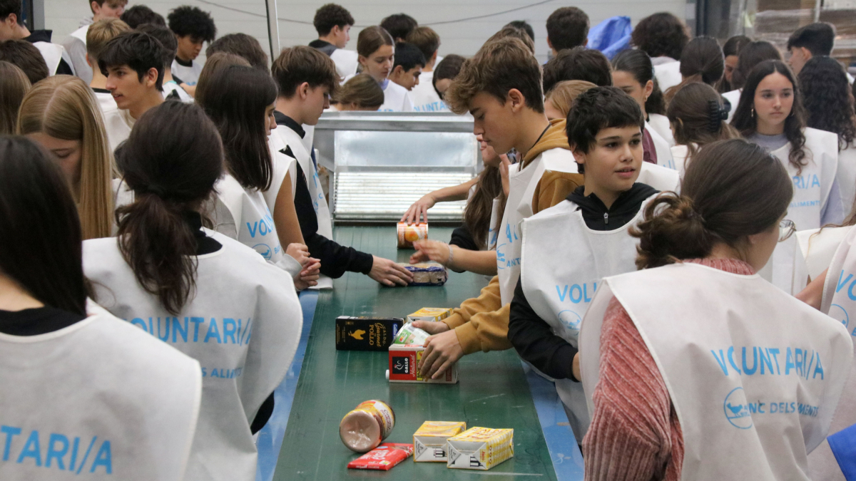 Nombrosos voluntaris classifiquen els aliments recollits durant el Gran Recapte