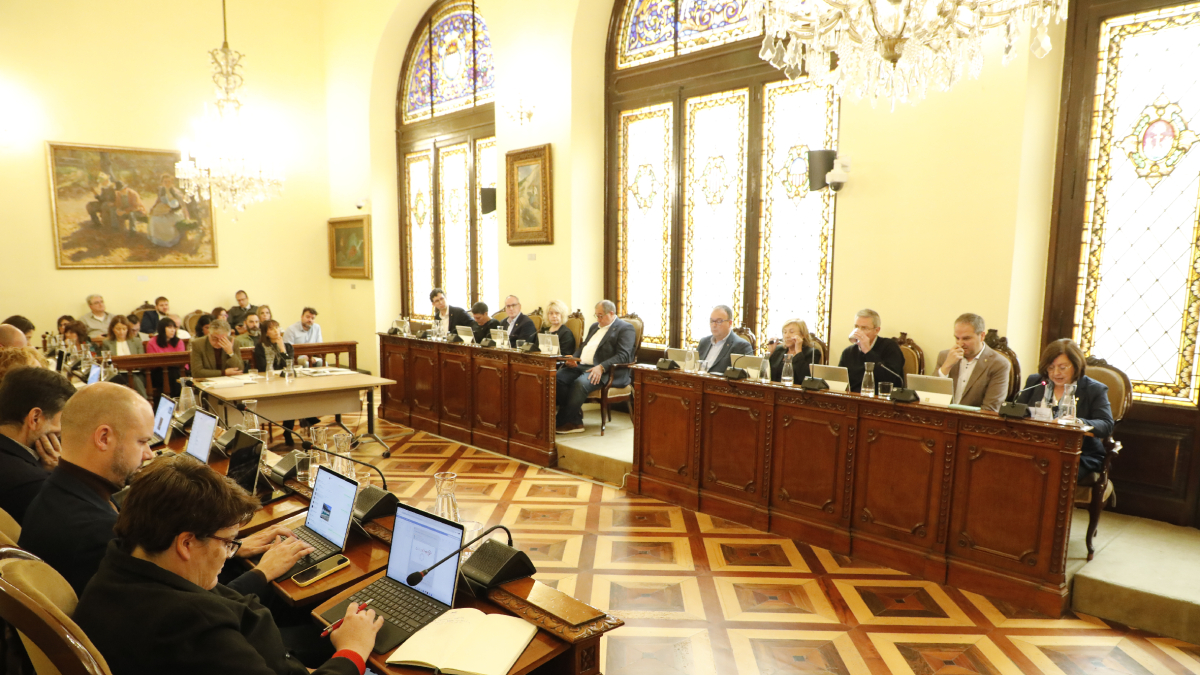 Rosa Maria Perelló, portaveu de Junts-Impulsem, en la seua intervenció en el ple celebrat ahir. - AMADO FORROLLA