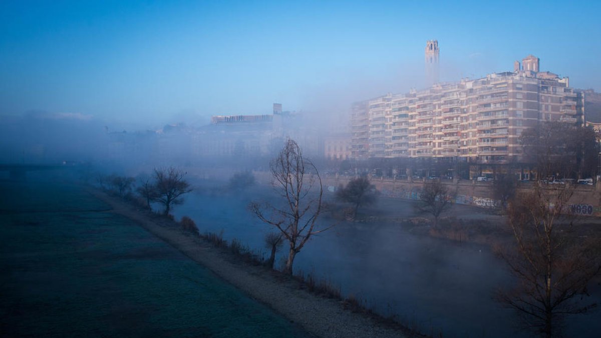Lectora voraç, finalment va decidir-se per escriure. Quaderns, publicada per Llibres del delicte, va ser la seua primera novel·la. Una obra coral ambientada en un petit poble de les Garrigues que Solé, nascuda a Alfés i veïna dels Torms, va asse ...