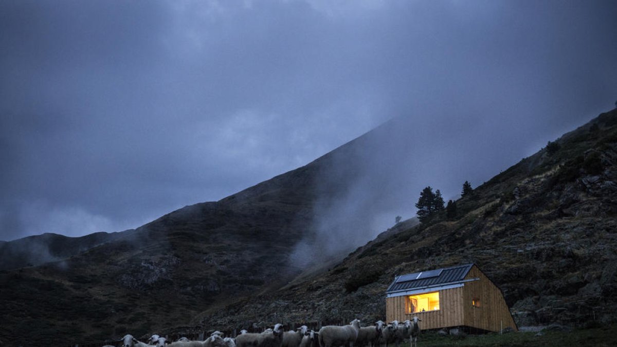 Edifici de nova planta de promoció privada