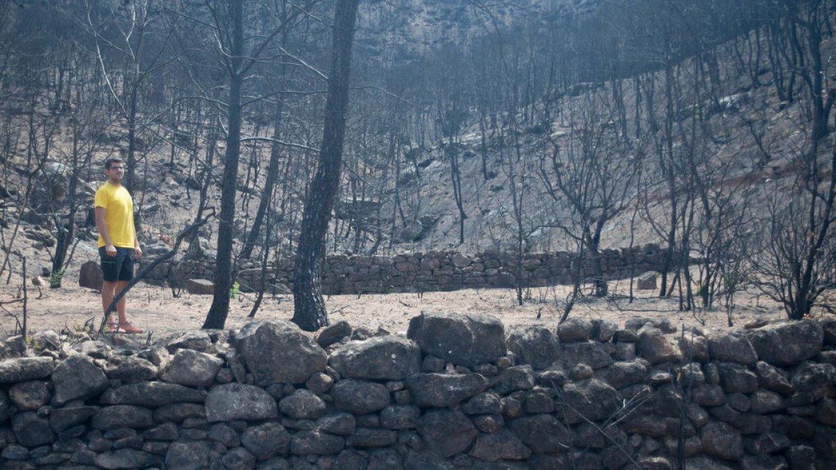 ascó. Des de les finques situades al sud del terme de Llardecans la Central Nuclear és relativament a prop en línia recta. A la foto diverses finques cremades i altres que van salvar-se.