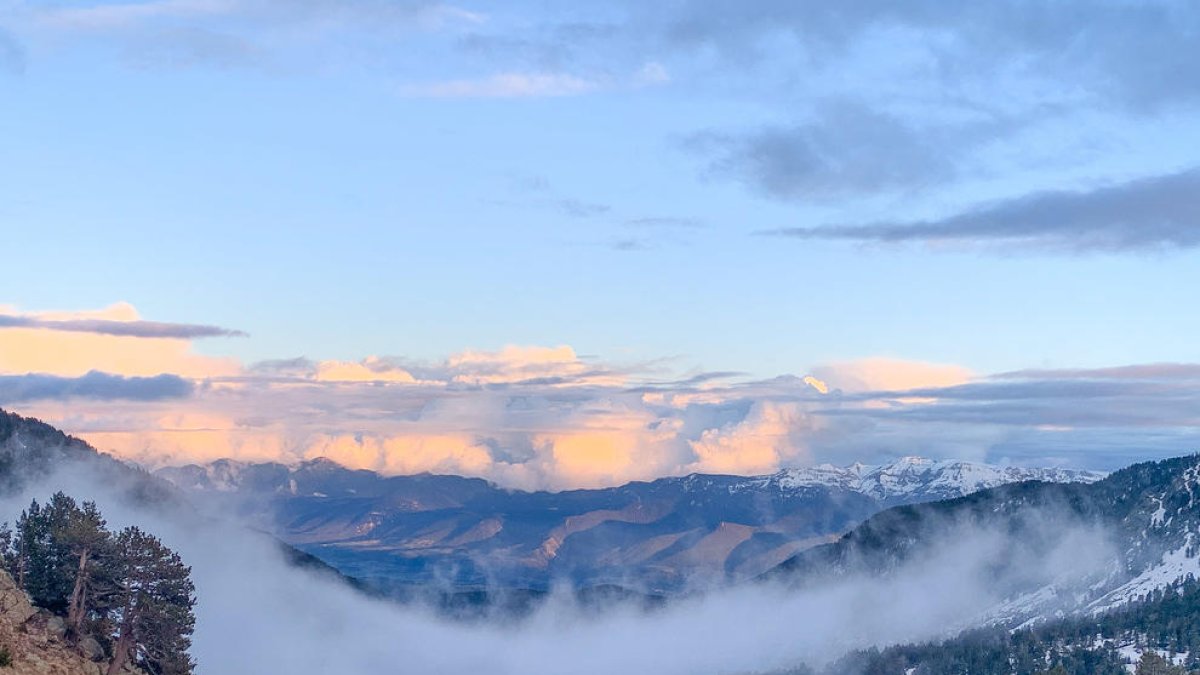 primavera. El Paco descansa gaudint d’una bona lectura.