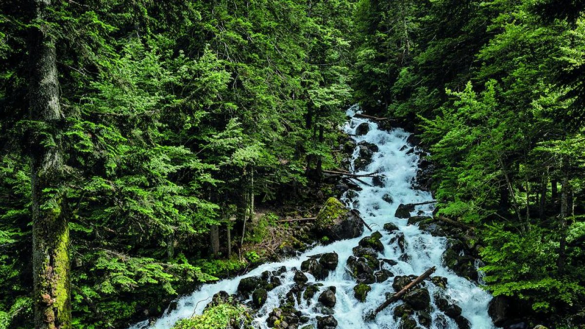 els autors. El fotograf Chopo García-Die i l’escriptor Joan de Déu Prats són els autors d’aquest llibre.
