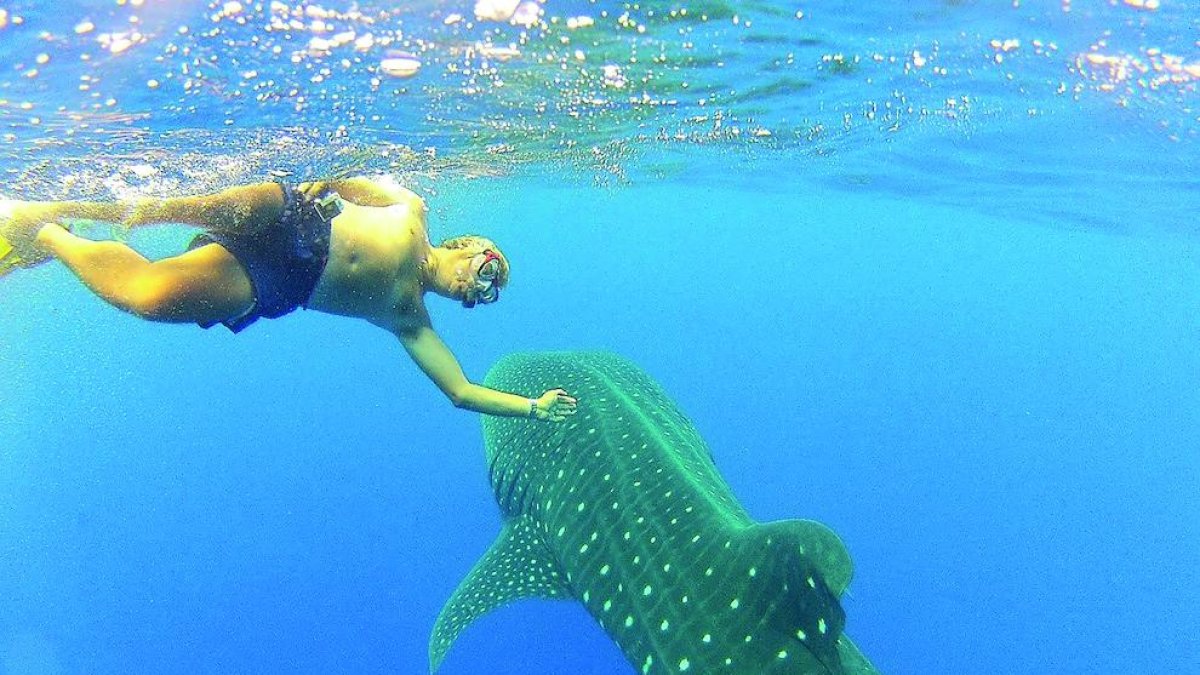 el vaixell. El ‘Lluiton’ ha estat un dels herois de la volta al món, ja que va haver de sortejar grans onatges durant la travessa.