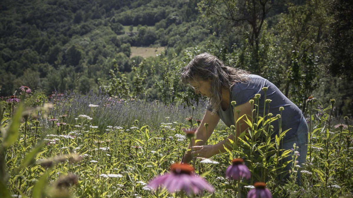 a mil metres d’alçada. Araós, a la Vall Farrera, és l’escenari del projecte de vida de la Gemma i el Pedro.