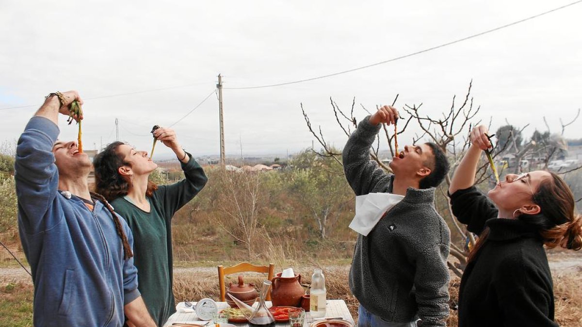 a mà. Els calçots s’acostumen a collir a mà i es trien un a un.
