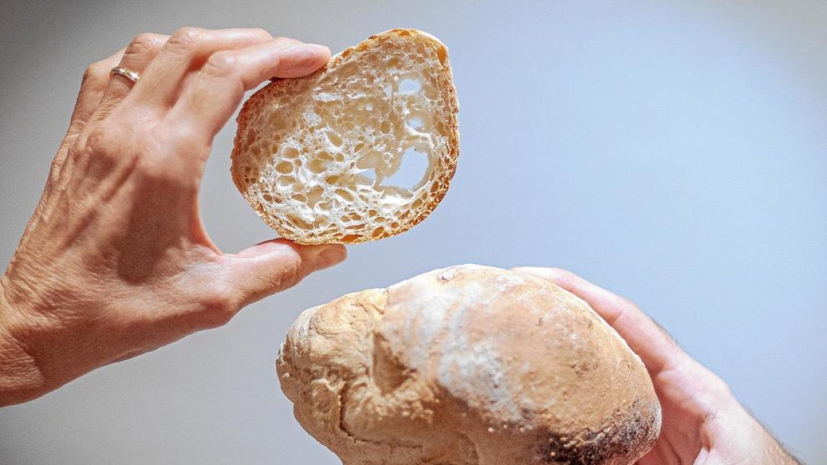 El pa de ronyó, un clàssic de les Garrigues.