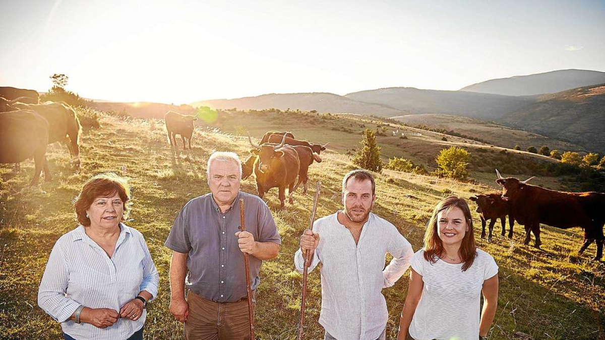 A Cal Tomàs, a la Pobla de Segur, porten quatre generacions dedicats a la cria i elaboració de carn de vedella.