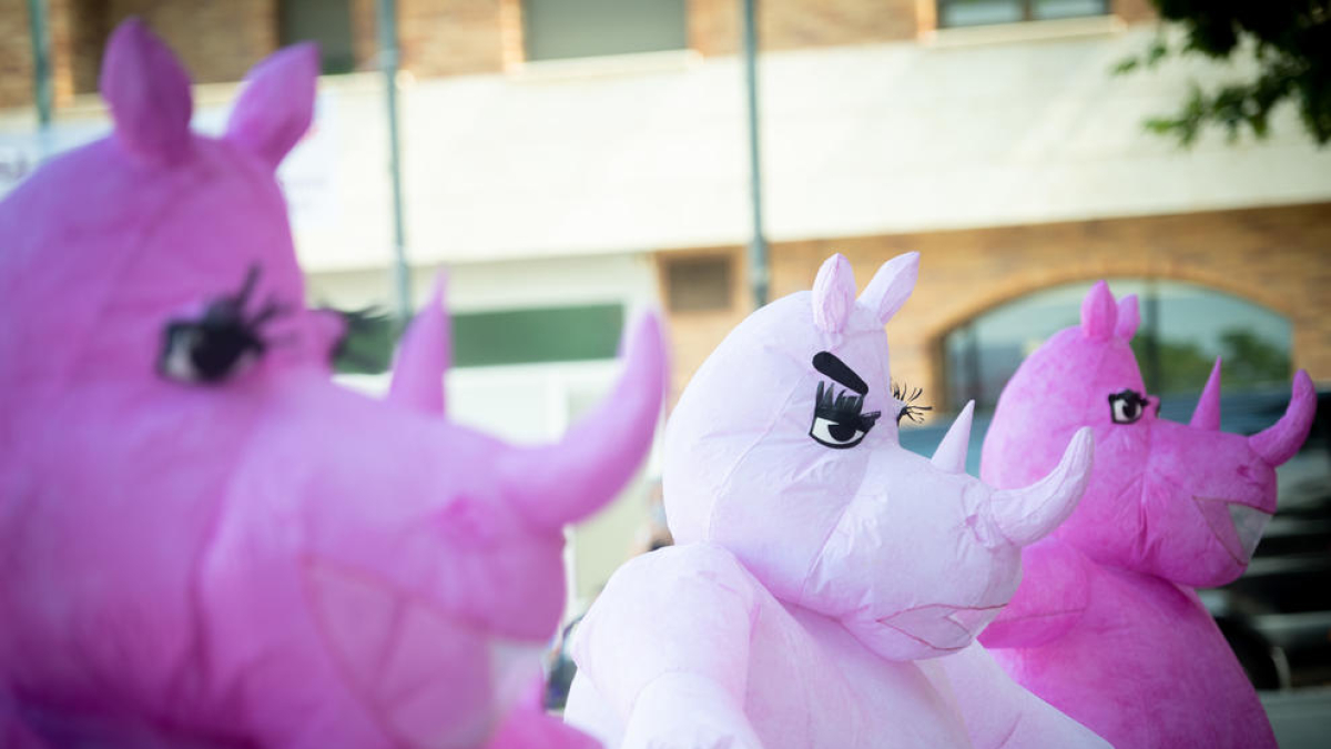 Assaig obert de l'espectacle 'Rhinos' al barri de  Magraners de Lleida el mes de juliol passat