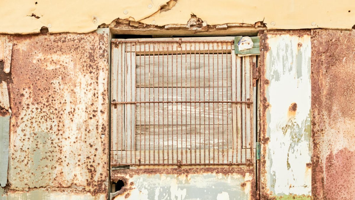 Isaki Lacuesta: “Es parla massa poc de l’art i la cultura en relació amb el plaer que proporcionen”