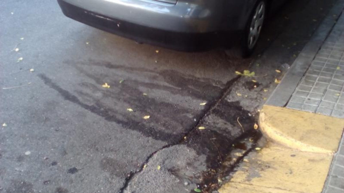 Carrers bruts d'excrements, a Pardinyes