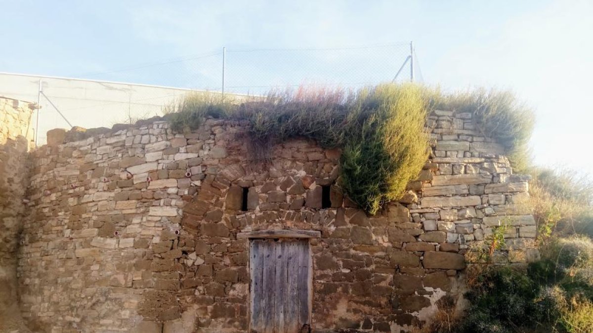 Cabana amb melena