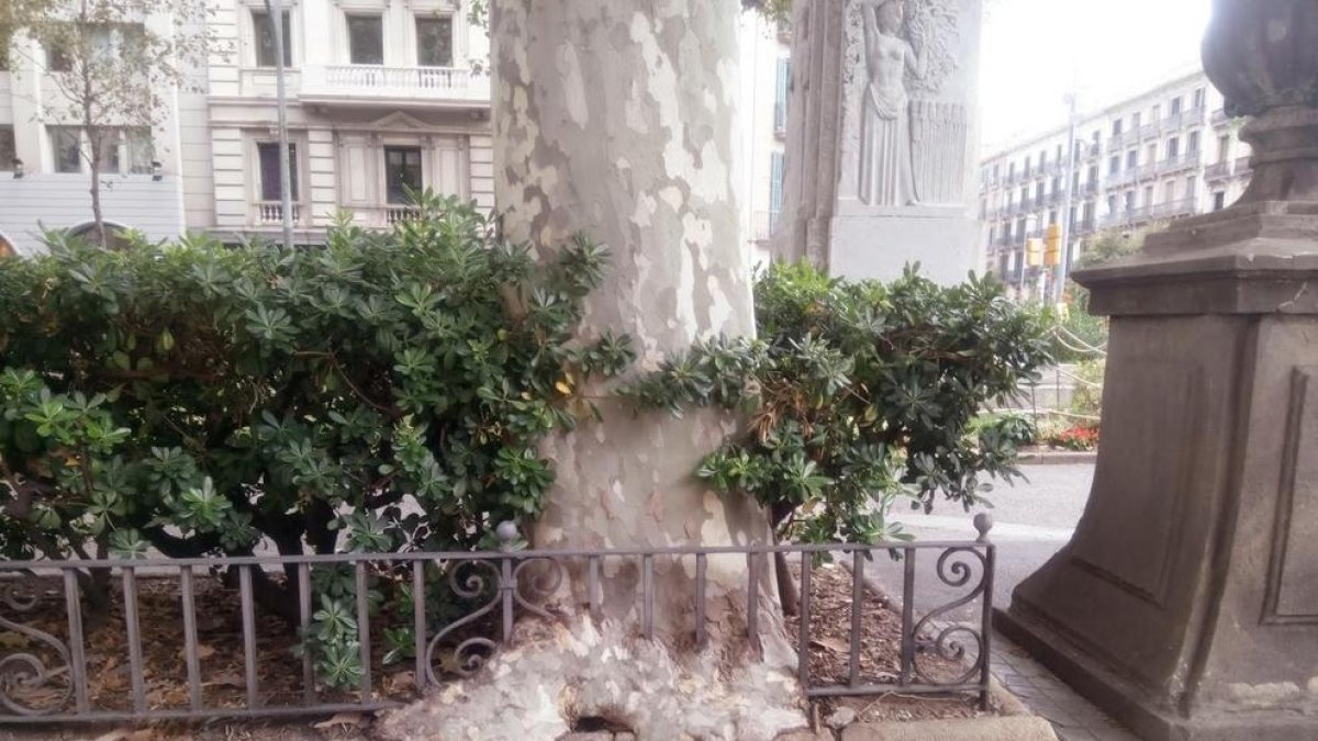 No es poden posar límits a la naturalesa