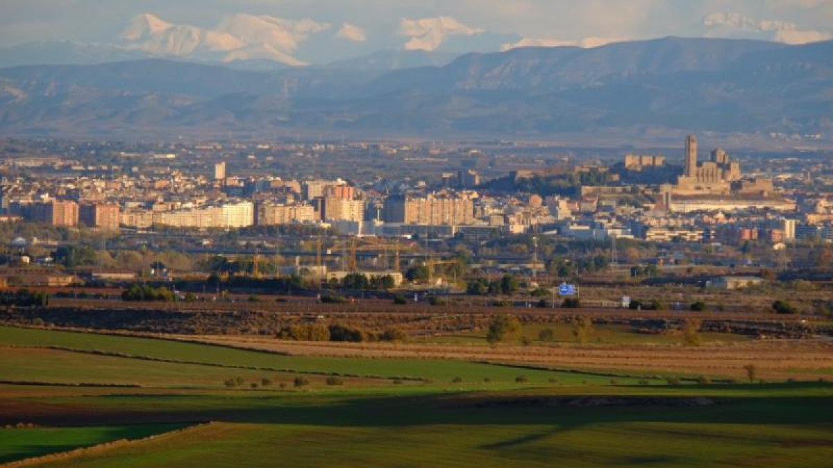 Alfés, l'última parada dels Camins d'Or Líquid 2019.