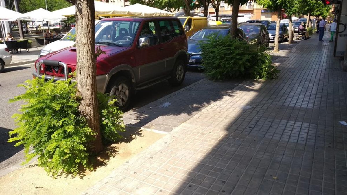 Quejas por la falta de conservación