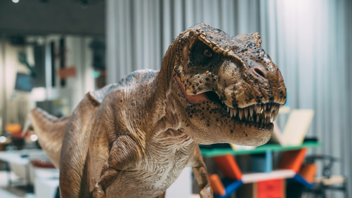 Reproducción de un T. Rex en un museo.