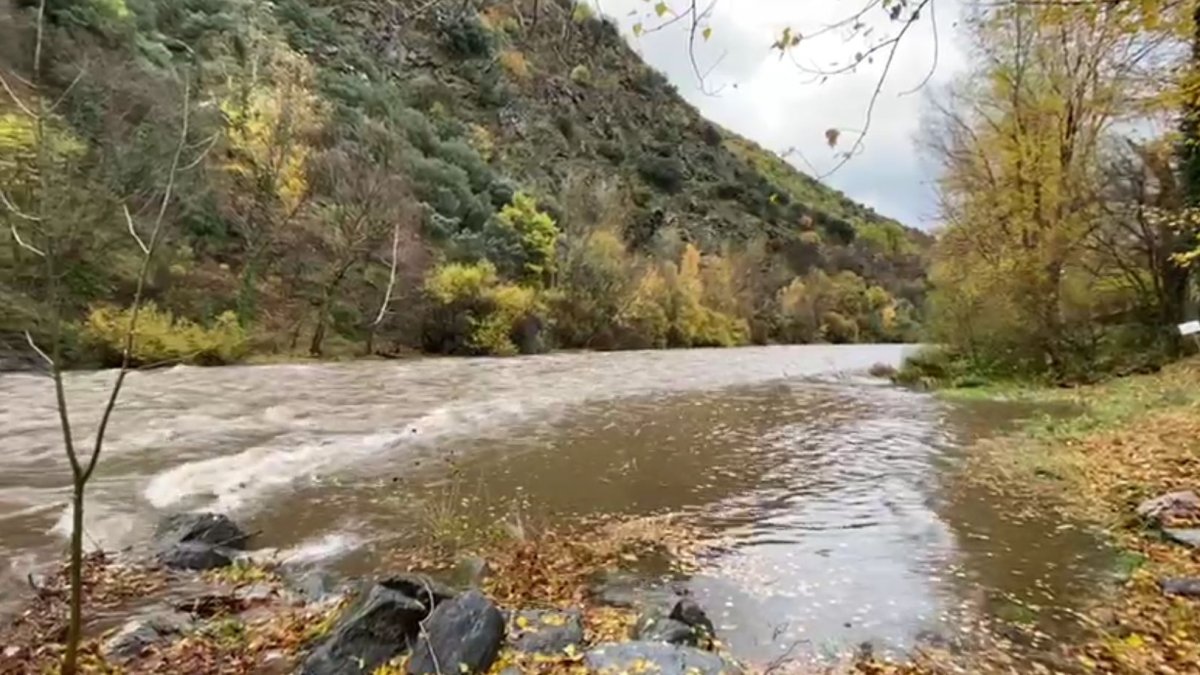 El riu Noguera Pallaresa, aquest divendres entre Sort i Rialb.