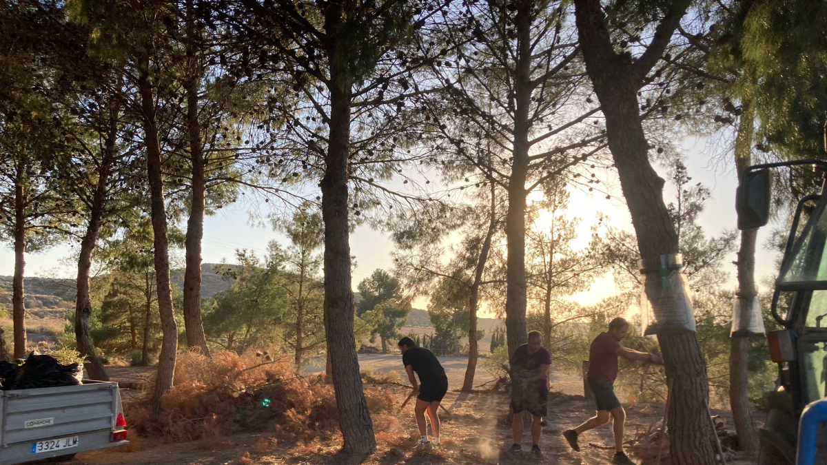 Pares i mares de nens de l’escola van netejar a l’octubre el bosquet que hi ha vora el col·legi. - A.A.