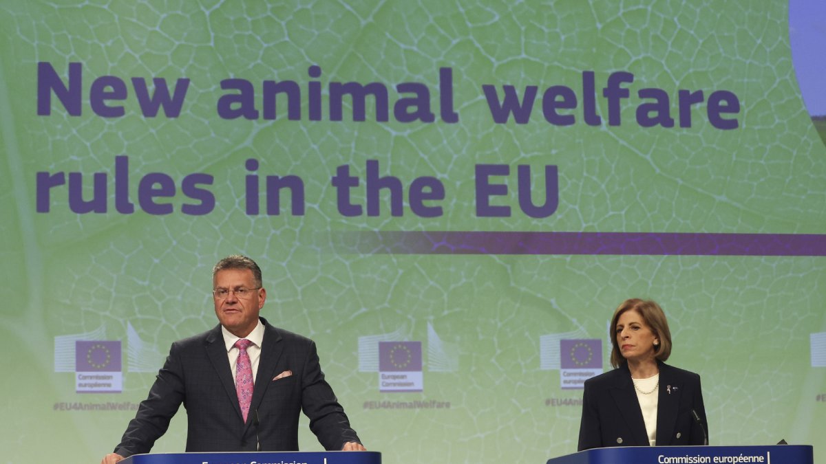 Maros Sefcovic i Stella Kyriakides van presentar la proposta. - EFE/EPA/OLIVIER HOSLET