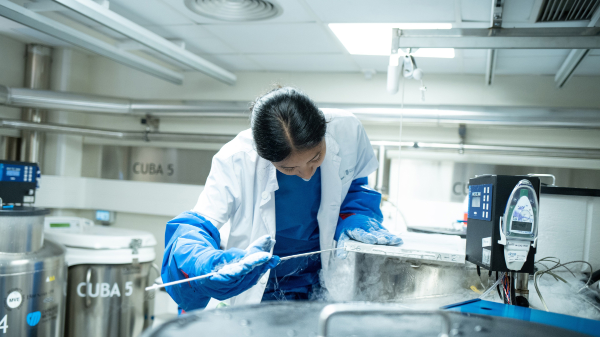 Imatge d’arxiu d’un laboratori