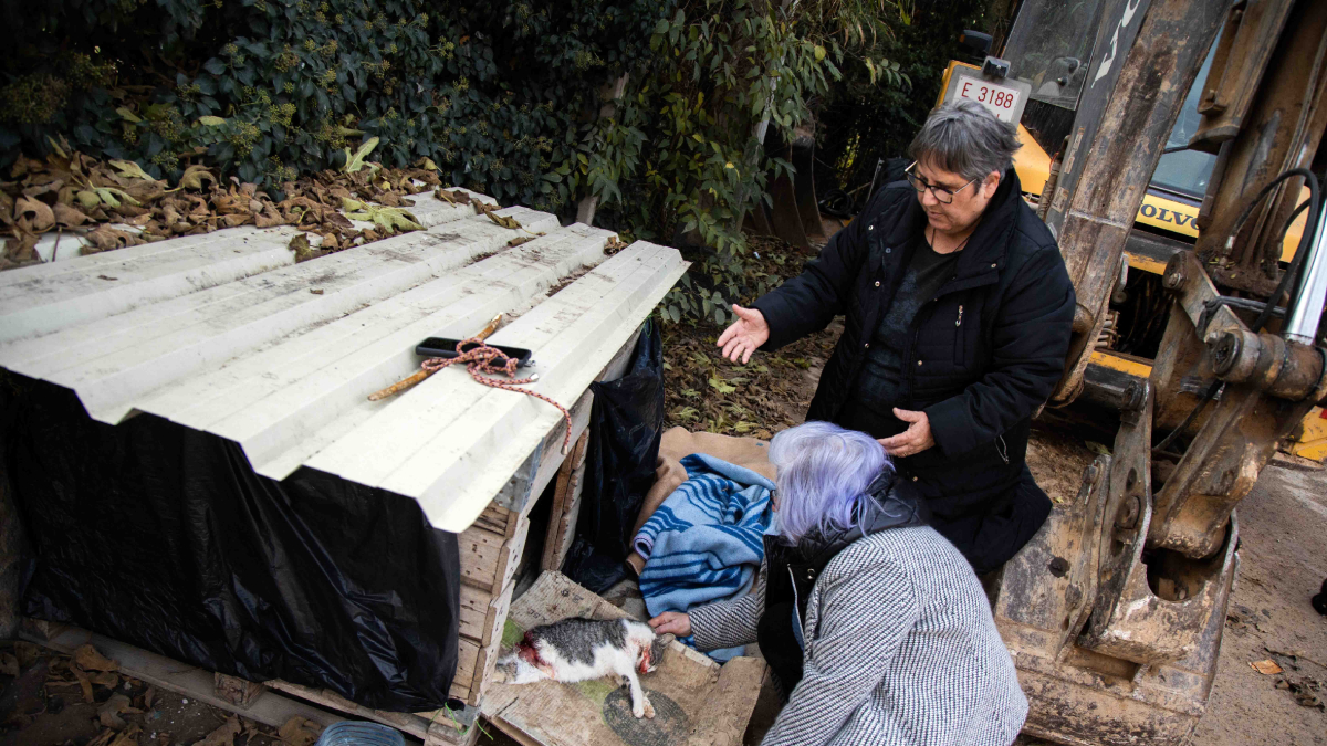 Dos de les cuidadores voluntàries de la colònia, amb un dels gats que va aparèixer mort. - ALBERT GONZÁLEZ
