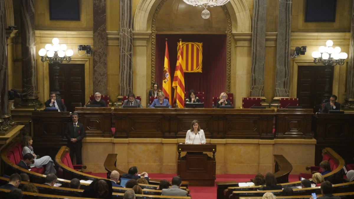 La síndica, durant la compareixença en el ple del Parlament. - CGA
