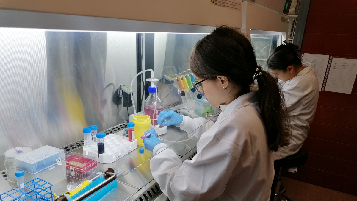 Dos estudiants al laboratori de l’institut Torre Vicens, a Lleida ciutat. - S. E.