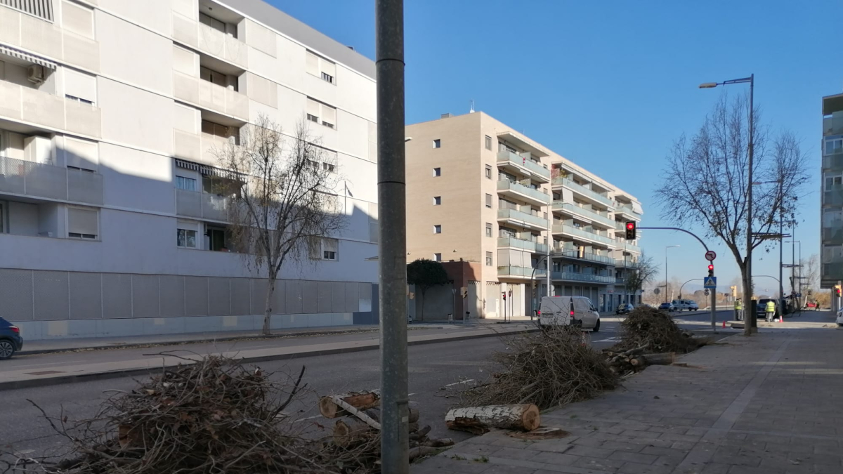 Arbres talats divendres al tram final de Prat de la Riba. - S. E.