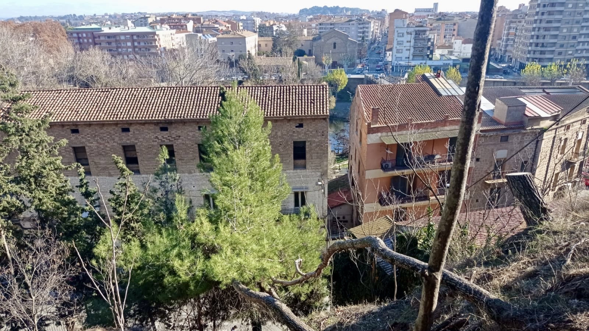 Operarios trabajando en la retirada de vegetación. - PAERIA DE BALAGUER