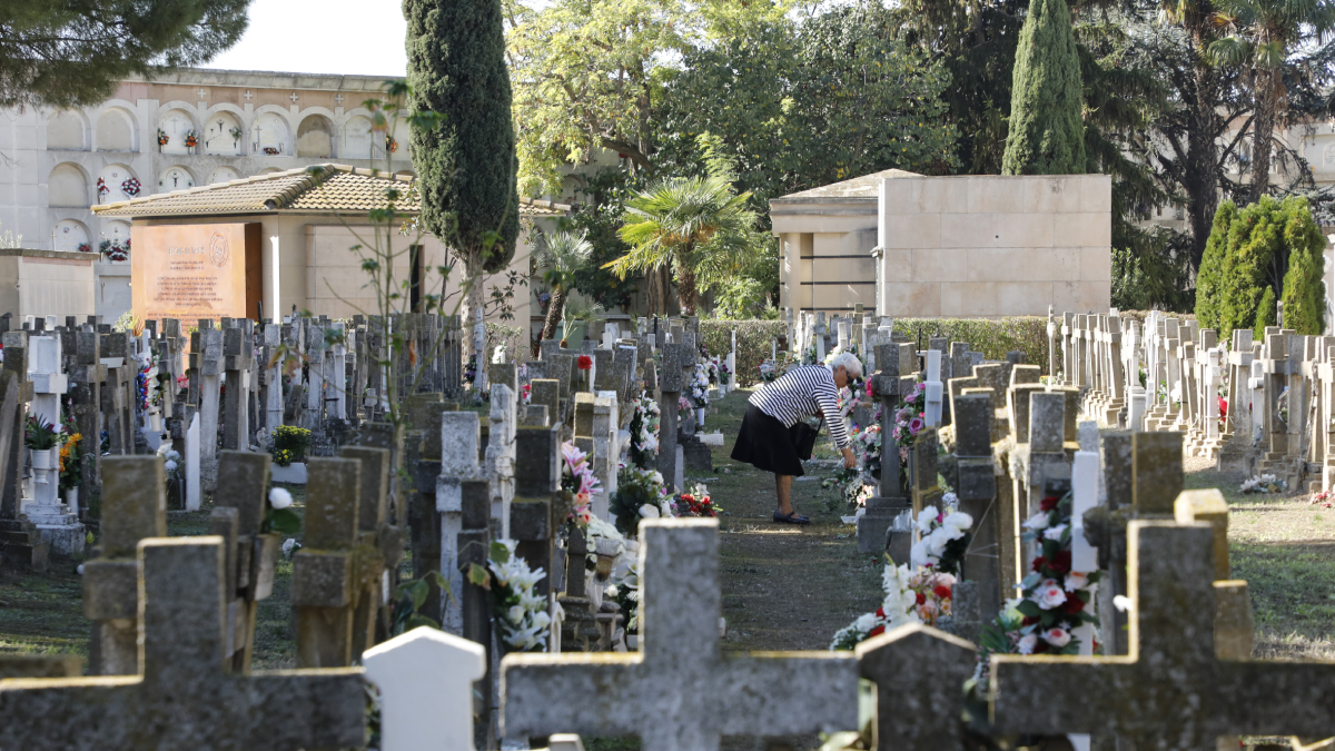 Vista general del cementerio de Lleida. - SEGRE