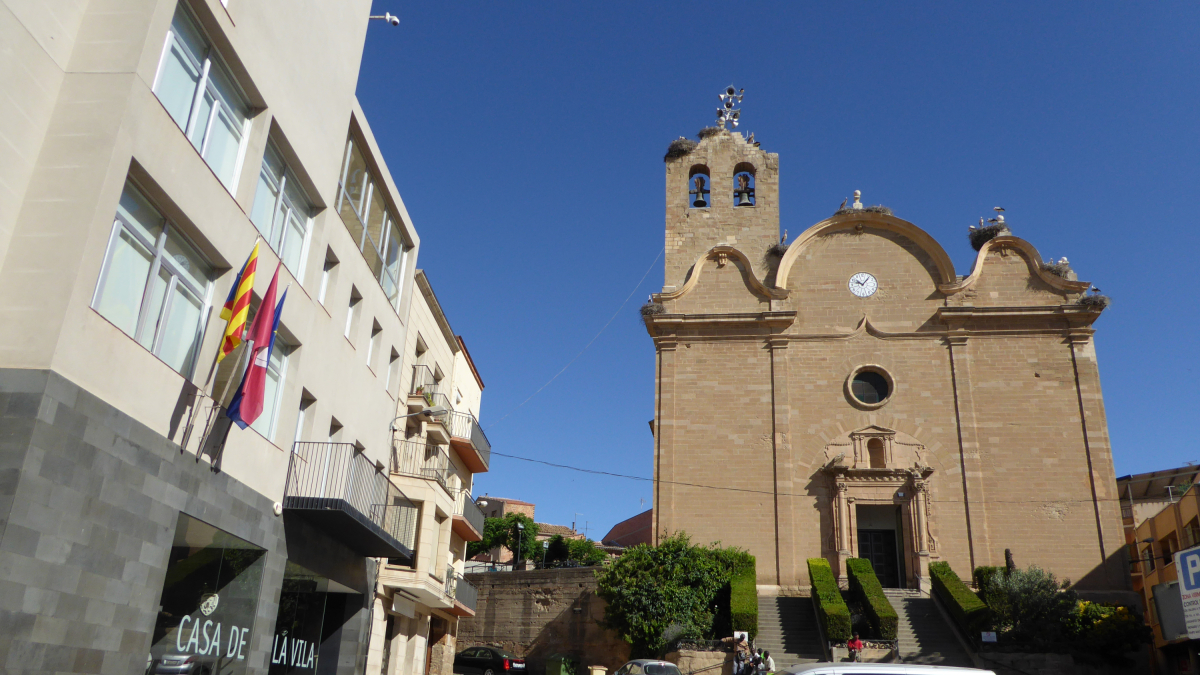 Una vista d'Alcarràs.