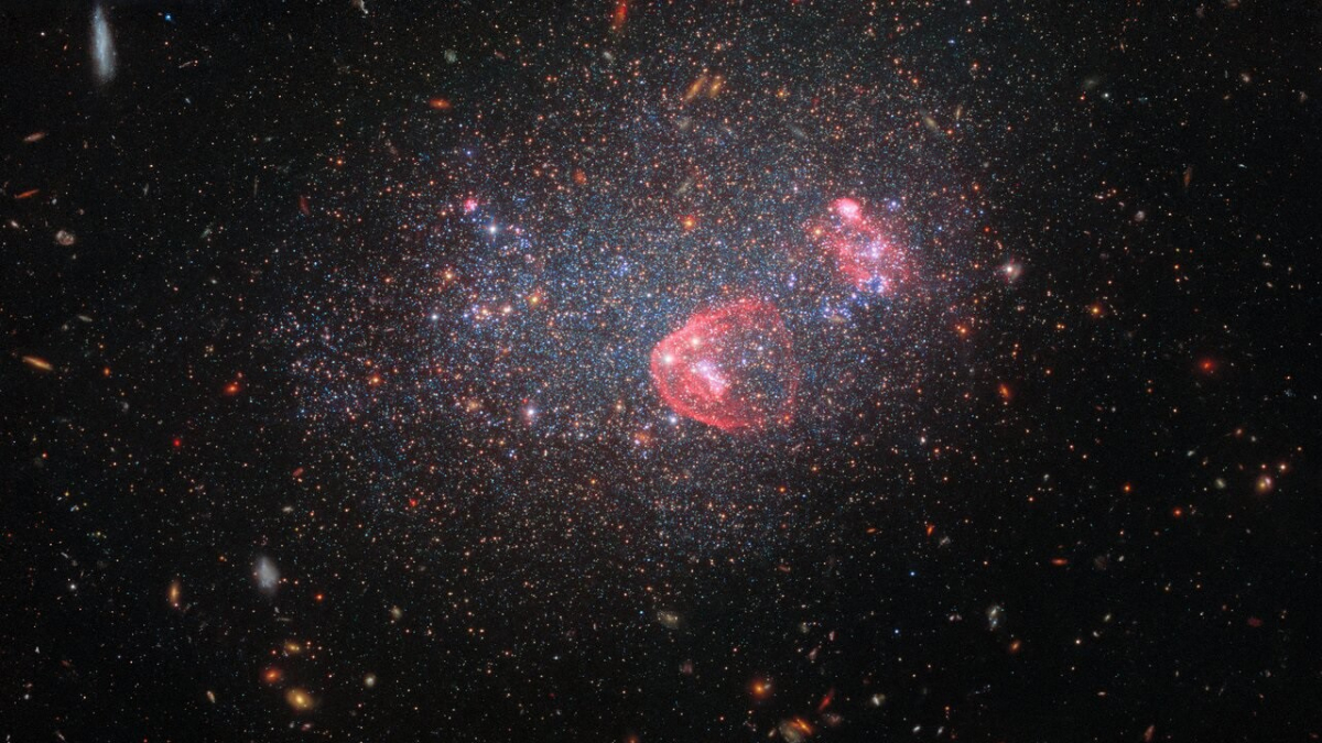 La galaxia UGC 8091.