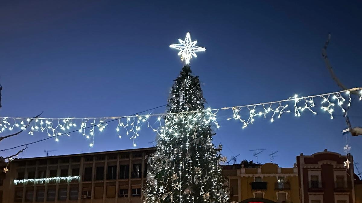 Vecinos de Balaguer fueron ayer a defender su árbol.