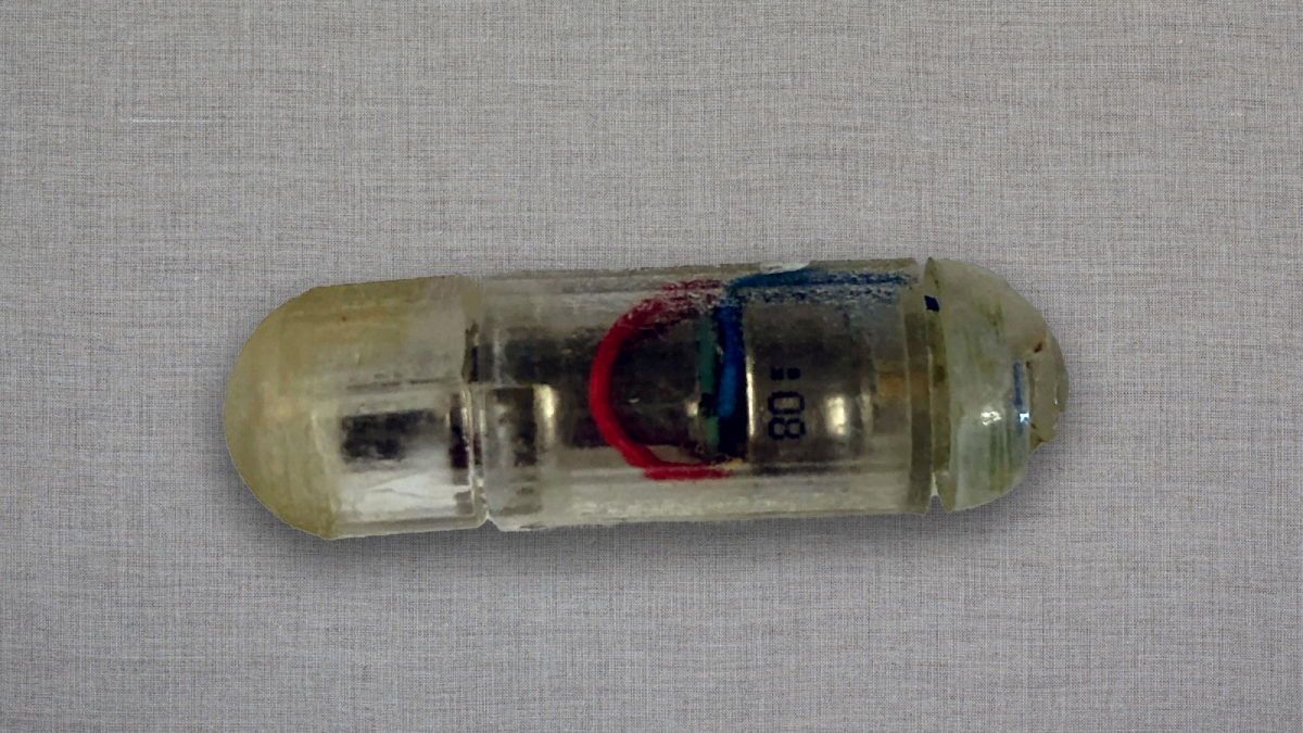 Els enginyers del MIT han dissenyat una càpsula ingerible que vibra dins de l’estómac. Crèdit: Cortesia de Shriya Srinivasan, Giovanni Traverso, MIT News.