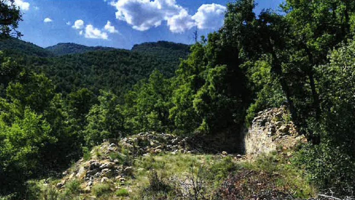 Imagen de los restos de la borda de Cal Nen. - AYUNTAMIENTO DE COLL DE NARGÓ