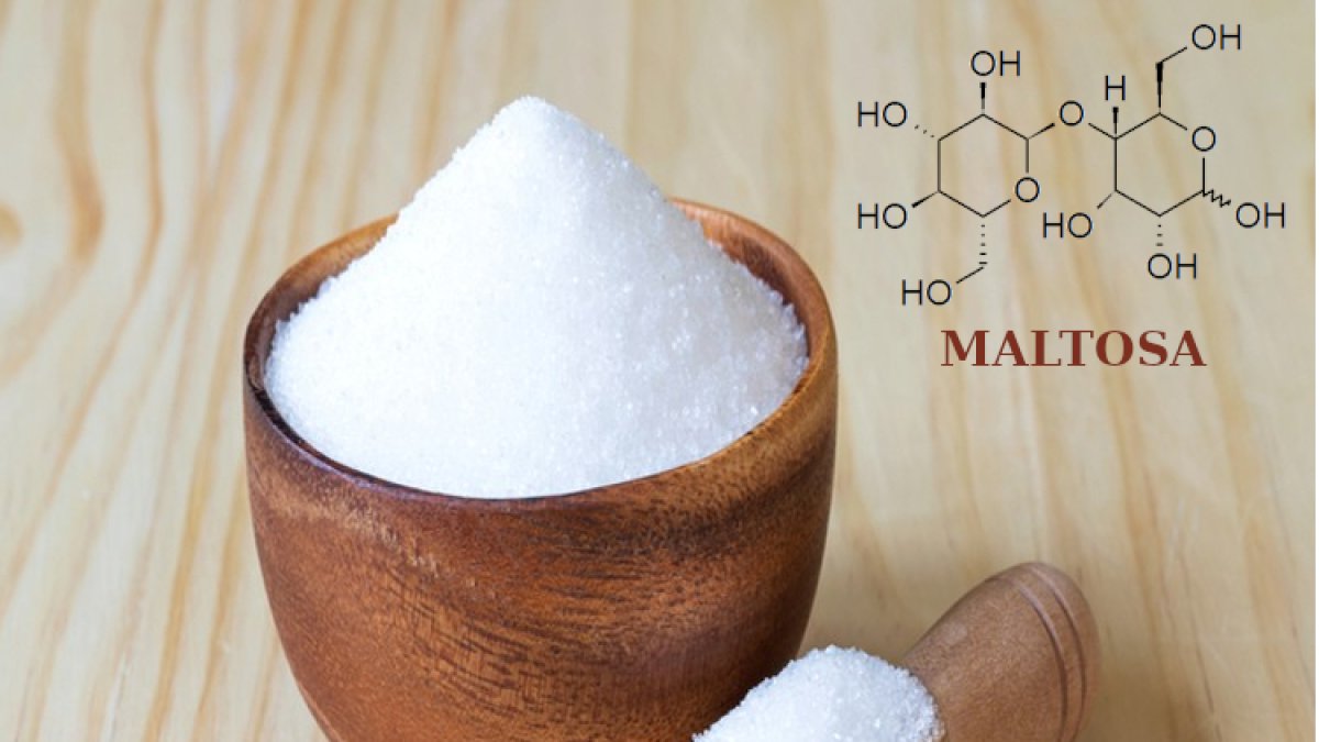 Maltosa i trehalosa. 