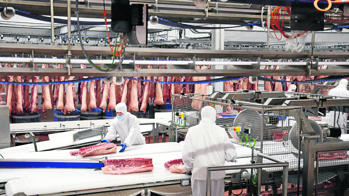 La apertura de Litera Meat en Binéfar ha disparado la capacidad de sacrificio y de cabaña en Huesca. - LITERA MEAT