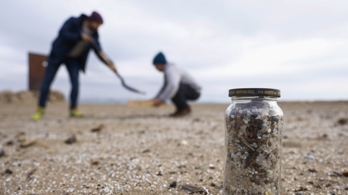 Platja de la Pineda, a Vila-seca, on aquest dimecres voluntaris de l’entitat que més ha estudiat la presència d’aquests microplàstics, Good Karma, netegen de la sorra aquests pèl·lets.