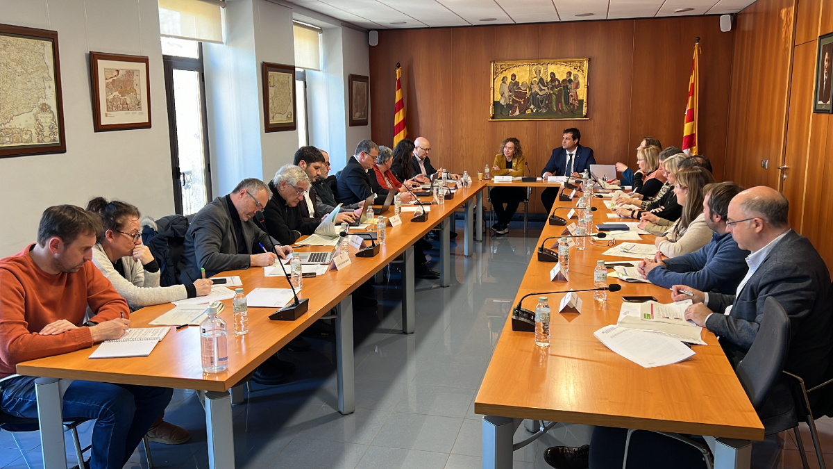 La reunió d’ahir de l’Institut per al Desenvolupament i la Promoció de l’Alt Pirineu i Aran. - ACN