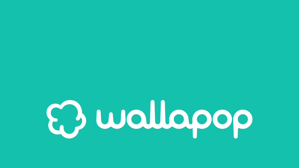 Wallapop i Vinted, sota lupa - SEGRE
