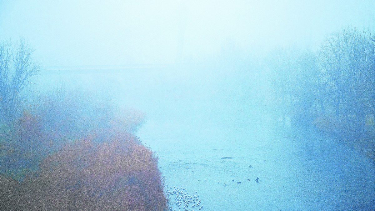 La niebla envolvió el puente de Príncep de Viana de Lleida. - GERARD HOYAS