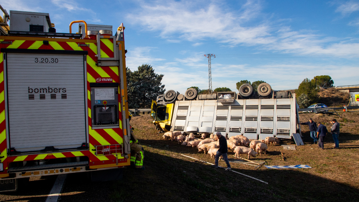 El accidente tuvo lugar ayer en la rotonda que enlaza con la autovía A-2 en Golmés. - GERARD HOYAS