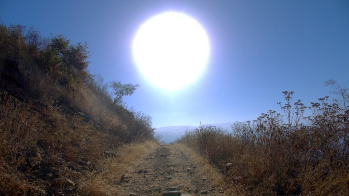 Imatge d'un camí amb el sol al fons