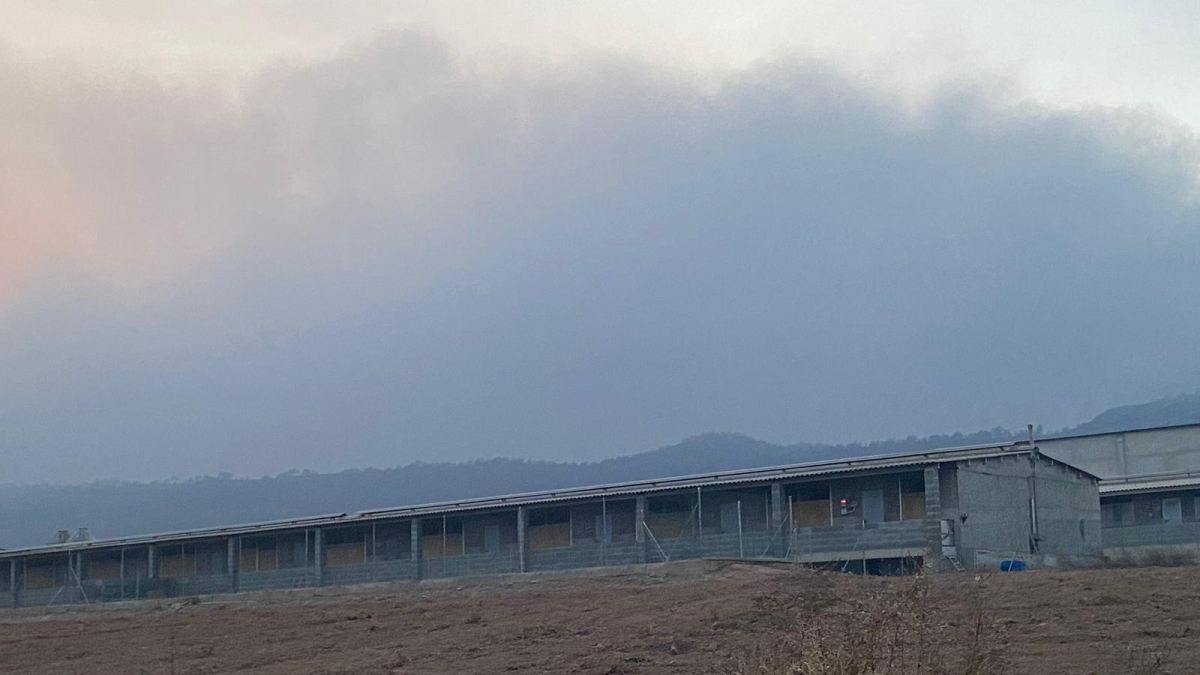 Una de las granjas ubicadas en Olius obligada a reducir el gasto de agua en un 50%. - J.S.