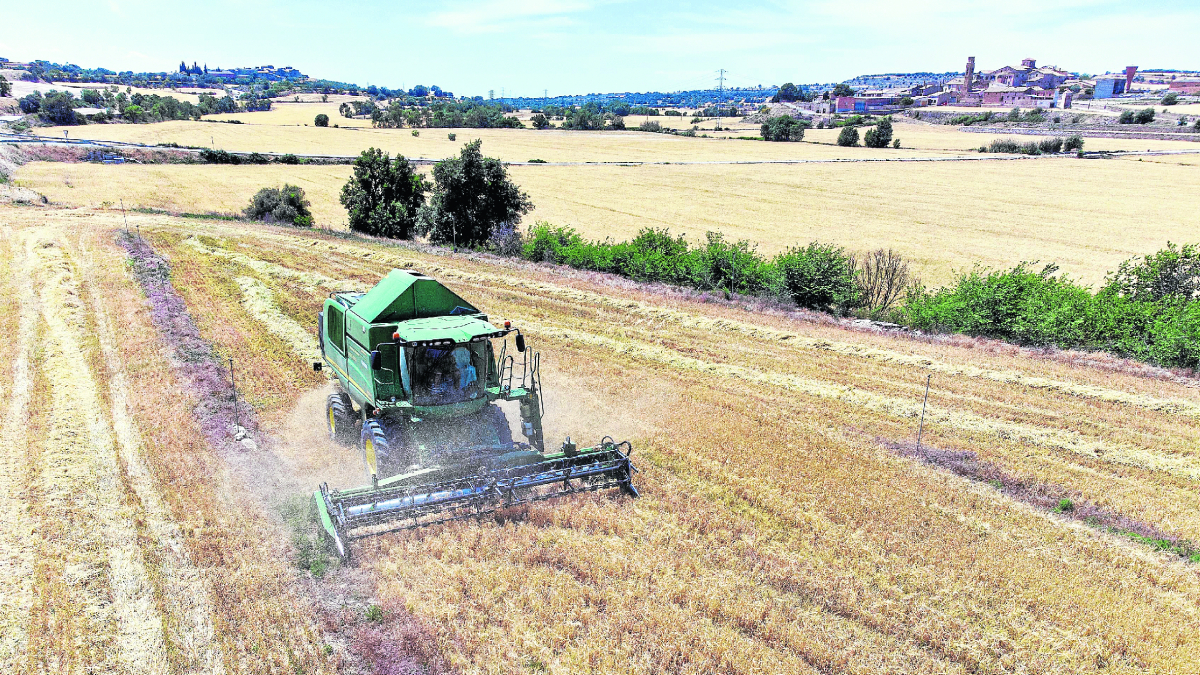El sector de los cultivos herbáceos es uno de los incluidos en la Política Agraria Común. - SEGRE